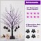 2FT Black Halloween Tree, Spooky Tree with 20 Spider & 24 Purple Lights and 6 Bat Decorations Battery Powered Tabletop Bonsai Tree Decoration for Halloween and Indoor